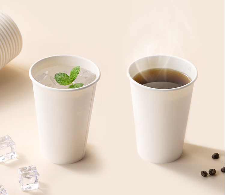 一次性紙杯.png